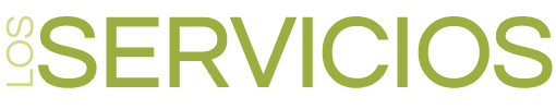 texto-servicios2